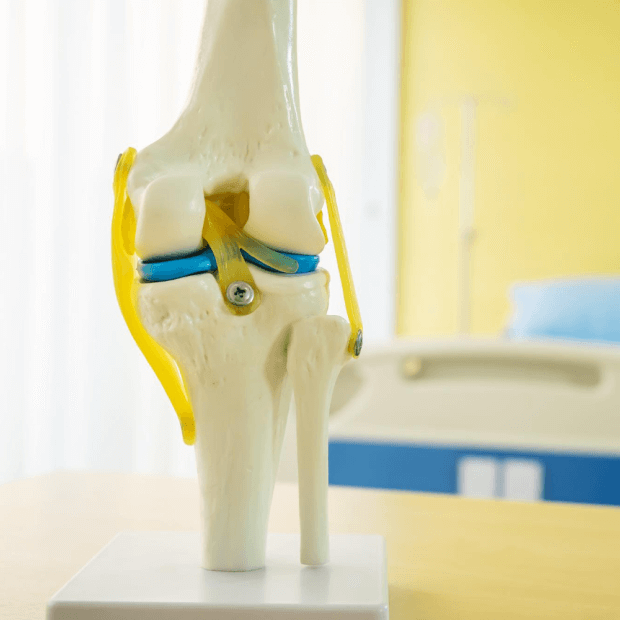 Cartilage Repair